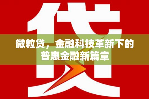 忻府微粒贷，金融科技革新下的普惠金融新篇章