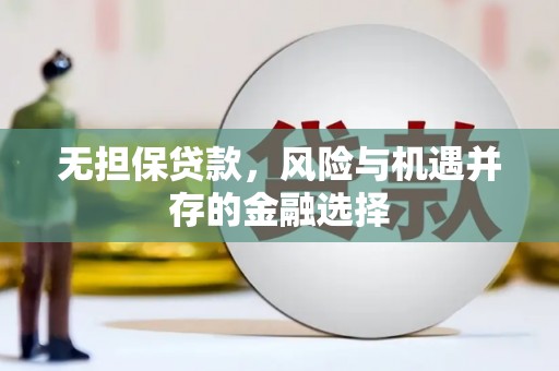 忻府无担保贷款，风险与机遇并存的金融选择
