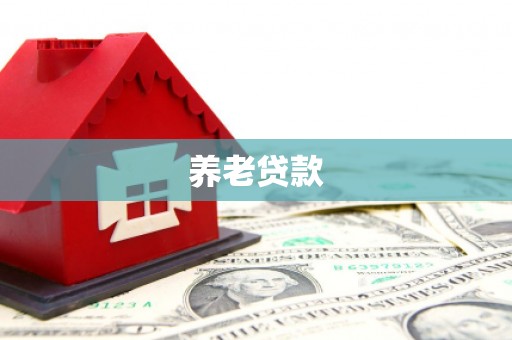 忻府养老贷款