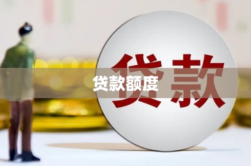 忻府贷款额度