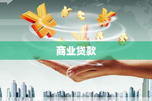 忻府商业贷款
