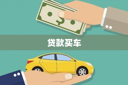 忻府贷款买车