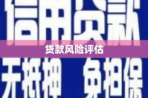 忻府贷款风险评估
