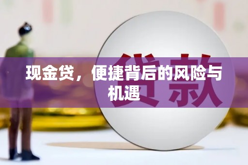 忻府现金贷，便捷背后的风险与机遇