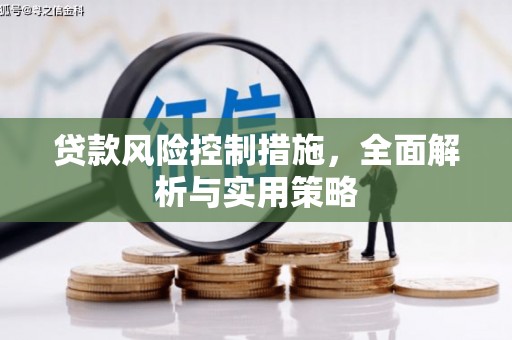 忻府贷款风险控制措施，全面解析与实用策略