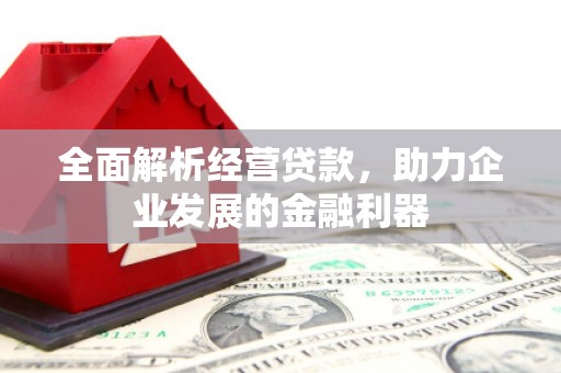 忻府全面解析经营贷款，助力企业发展的金融利器
