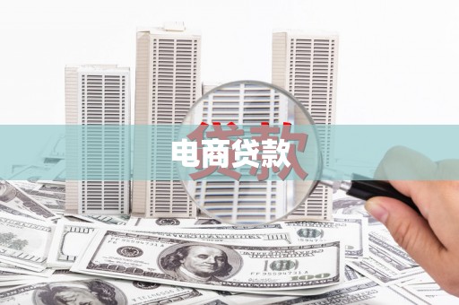 忻府电商贷款