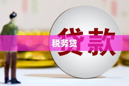 忻府税务贷