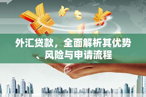 忻府外汇贷款，全面解析其优势、风险与申请流程