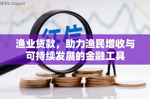 忻府渔业贷款，助力渔民增收与可持续发展的金融工具