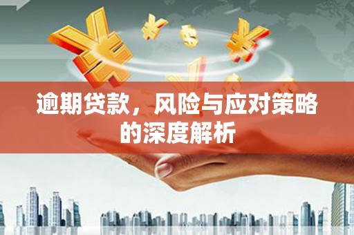 忻府逾期贷款，风险与应对策略的深度解析