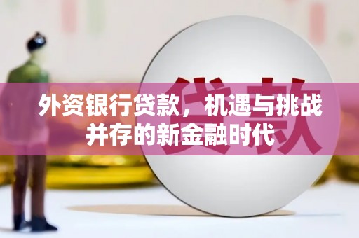 忻府外资银行贷款，机遇与挑战并存的新金融时代