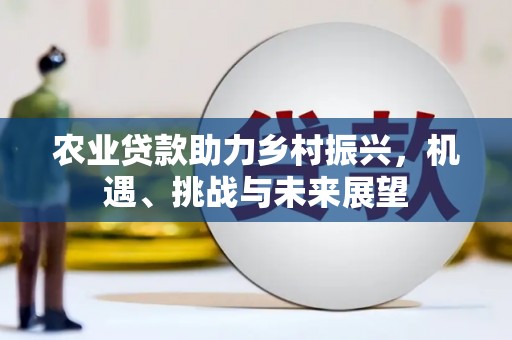 忻府农业贷款助力乡村振兴，机遇、挑战与未来展望