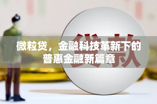 忻府微粒贷，金融科技革新下的普惠金融新篇章