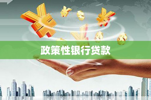 忻府政策性银行贷款