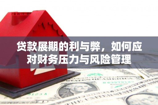 忻府贷款展期的利与弊，如何应对财务压力与风险管理