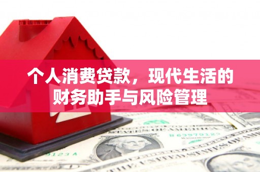 忻府个人消费贷款，现代生活的财务助手与风险管理