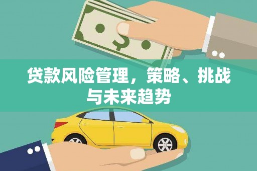 忻府贷款风险管理，策略、挑战与未来趋势