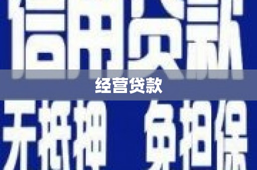 忻府经营贷款