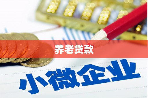 忻府养老贷款