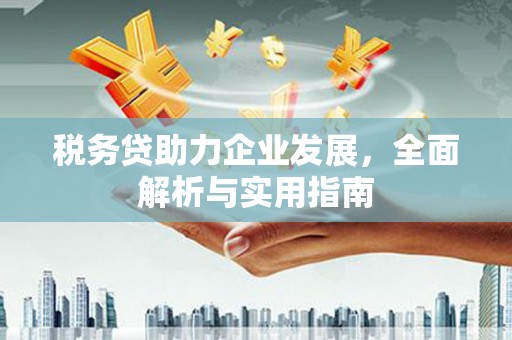 忻府税务贷助力企业发展，全面解析与实用指南