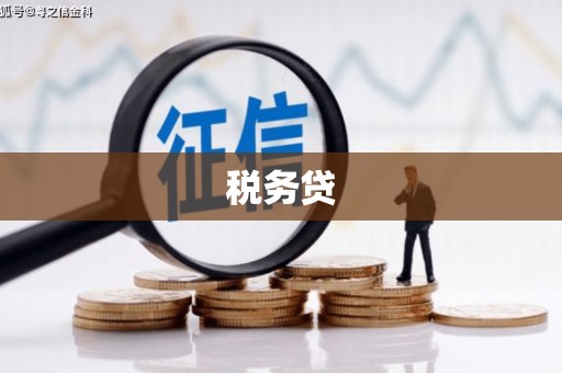 忻府税务贷