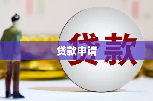 忻府贷款申请