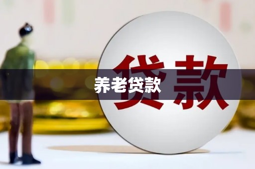 忻府养老贷款