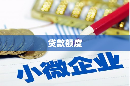 忻府贷款额度
