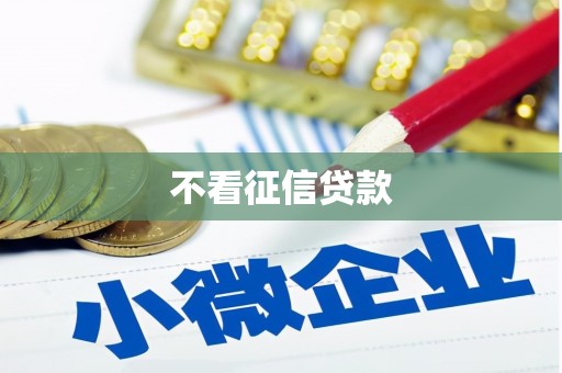 忻府不看征信贷款
