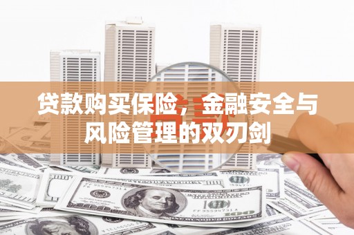 忻府贷款购买保险，金融安全与风险管理的双刃剑