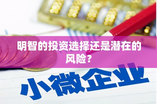 忻府明智的投资选择还是潜在的风险？