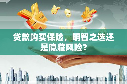 忻府贷款购买保险，明智之选还是隐藏风险？
