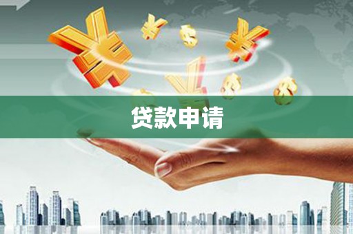 忻府贷款申请