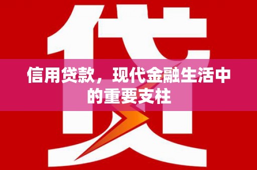 忻府信用贷款，现代金融生活中的重要支柱