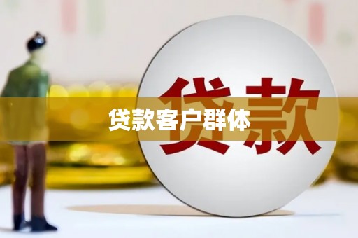 忻府贷款客户群体