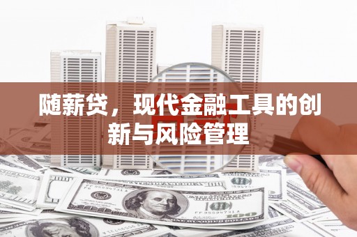 忻府随薪贷，现代金融工具的创新与风险管理