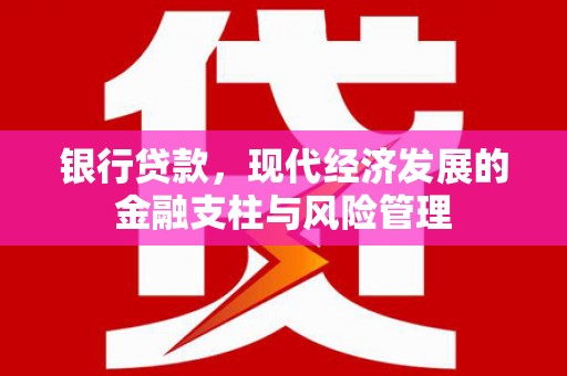 忻府银行贷款，现代经济发展的金融支柱与风险管理