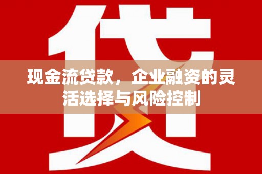 忻府现金流贷款，企业融资的灵活选择与风险控制