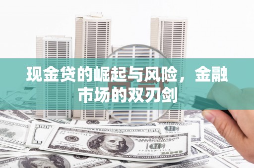忻府现金贷的崛起与风险，金融市场的双刃剑