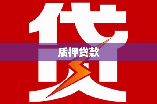 忻府质押贷款
