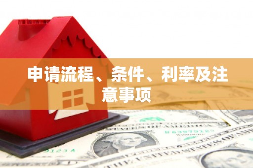 忻府申请流程、条件、利率及注意事项
