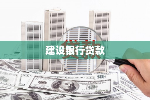 忻府建设银行贷款