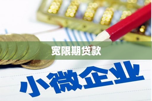 忻府宽限期贷款