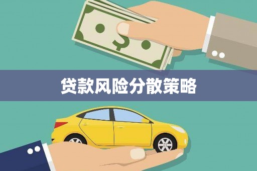 忻府贷款风险分散策略
