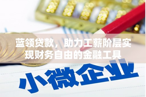 忻府蓝领贷款，助力工薪阶层实现财务自由的金融工具