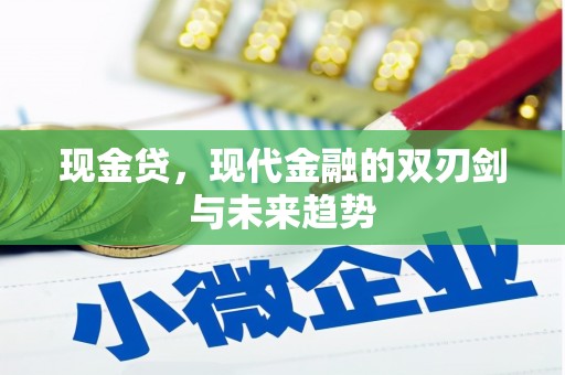 忻府现金贷，现代金融的双刃剑与未来趋势