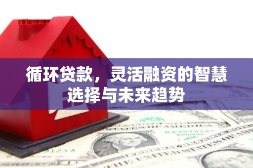 忻府循环贷款，灵活融资的智慧选择与未来趋势