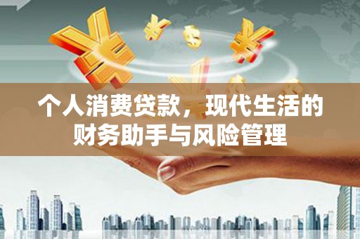 忻府个人消费贷款，现代生活的财务助手与风险管理