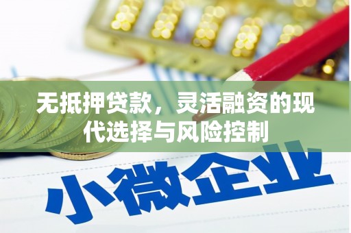 忻府无抵押贷款，灵活融资的现代选择与风险控制